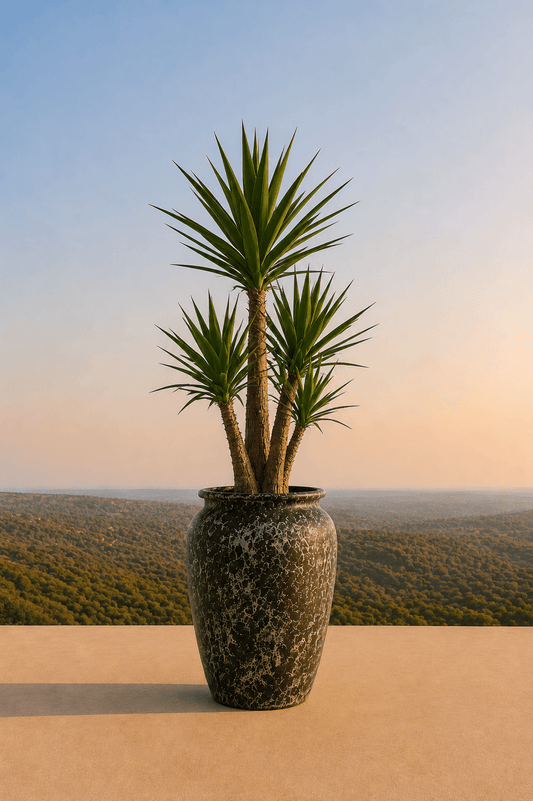 Handgemaakte keramische Ambang plantenpot in Relic Jade met yuccaplant op een terras en dieptezicht op een heuvelachtig veld
