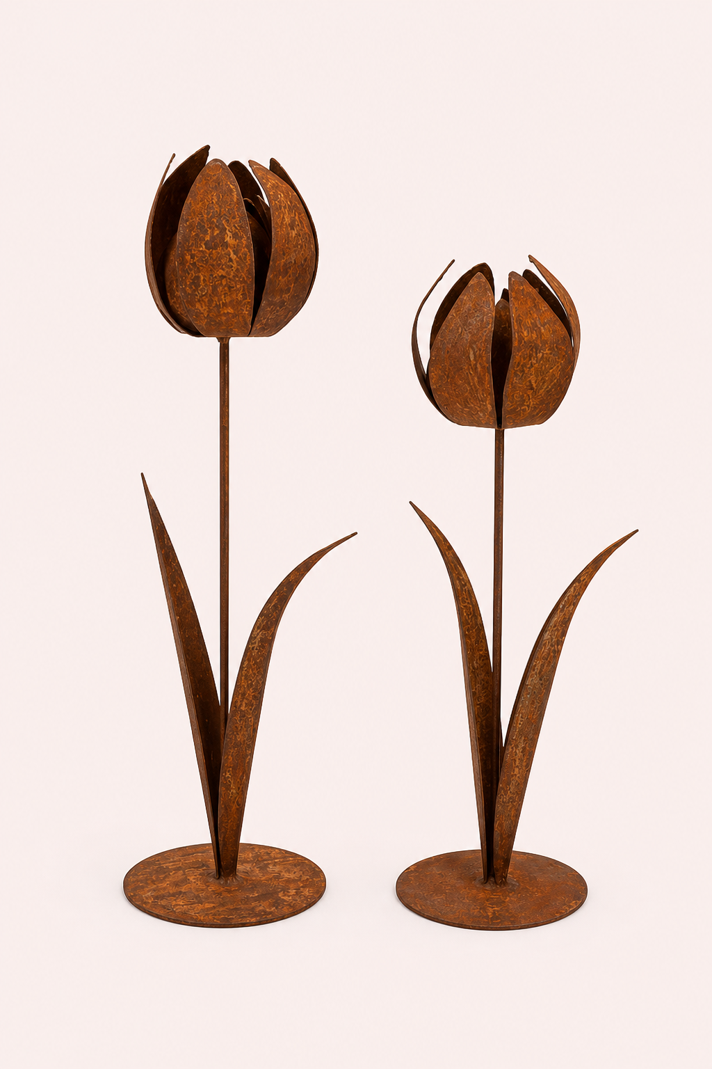 Roest decoratieve tulp