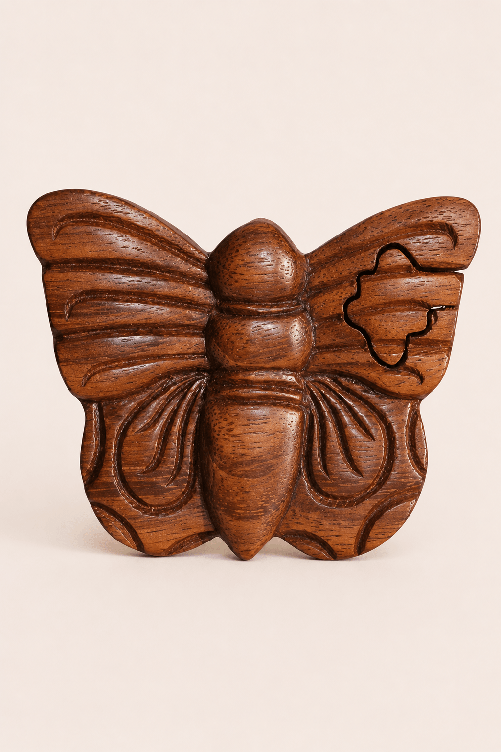 Bali magic box vlinder