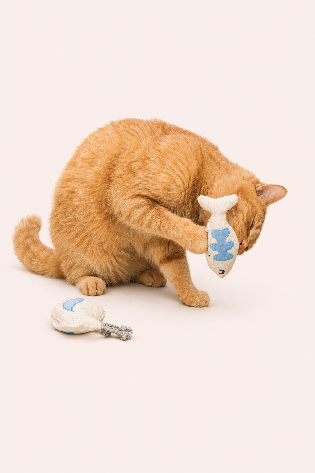 Kattenspeelgoedset met valeriaan