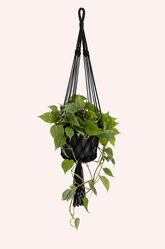 Macramé plantenhouder zwart katoen groot