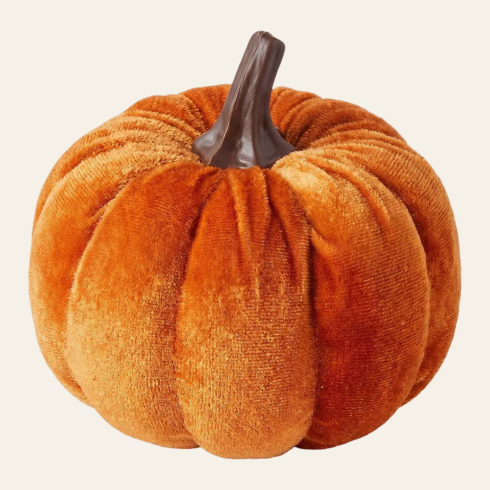 Decoratieve pompoen in oranje met bruine steel voor halloween en herfst als productfoto
