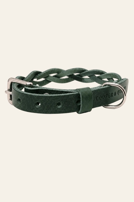 Gevlochten groene leren hondenhalsband op een lichtbeige achtergrond