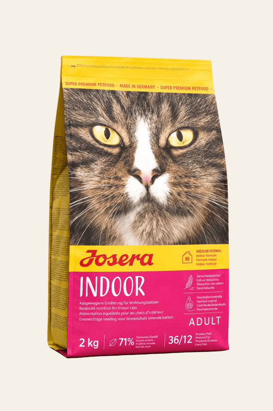 Josera Indoor Cat kattenbrokken 2 kg in geel-roze verpakking met kattengezicht, graanvrij droogvoer voor volwassen binnenkatten.