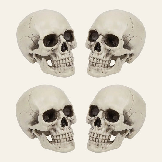 Kleine decoratieve schedel voor halloween