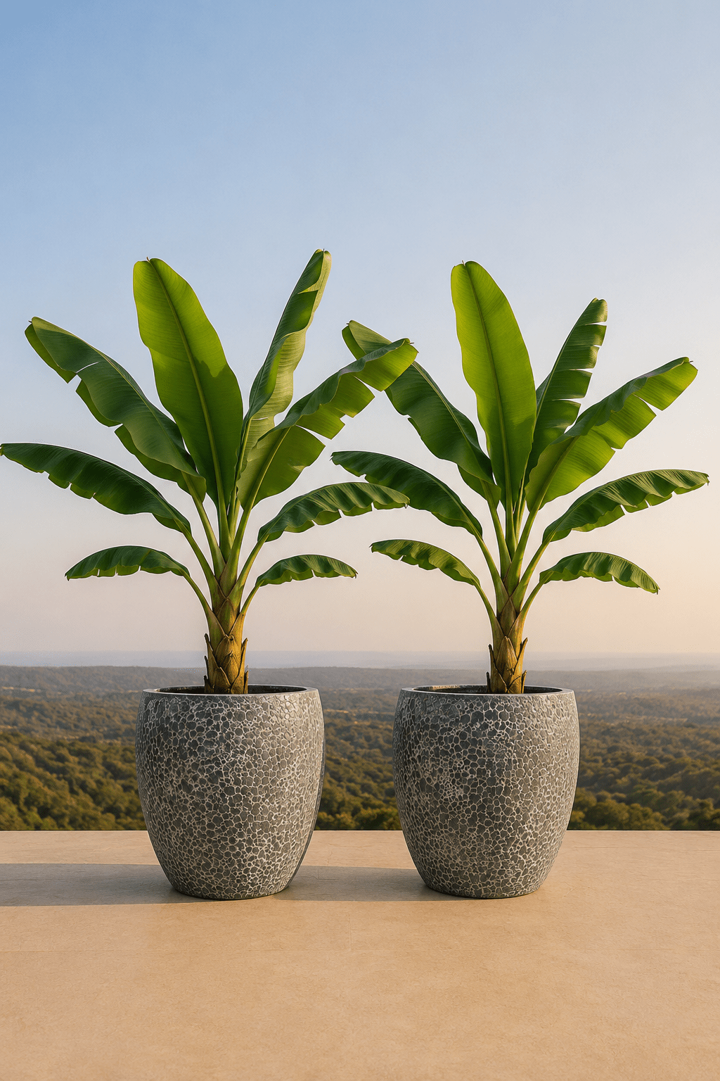 Twee handgemaakte keramische Lipari plantenpotten in Relic Jade met bananenplanten op een terras en dieptezicht op een veld