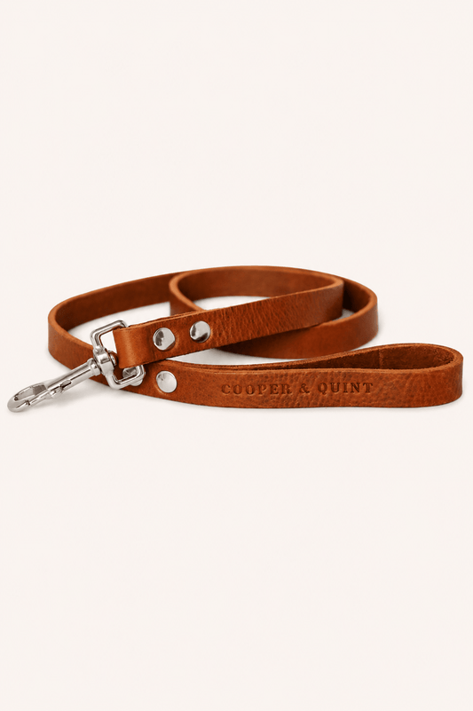 No Fuss soepele leren hondenriem in verschillende lengtes in lichtbeige achtergrond