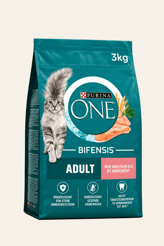 Purina ONE Adult kattenbrokken 3 kg in turquoise zak met grijze kat en roze zalmetikettering, voeding met zalm en volkoren granen.