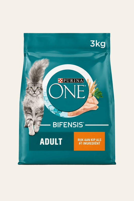 Purina ONE Adult kattenbrokken 3 kg in turquoise verpakking met grijze kat, kip en Bifensis-formule voor volwassen katten.