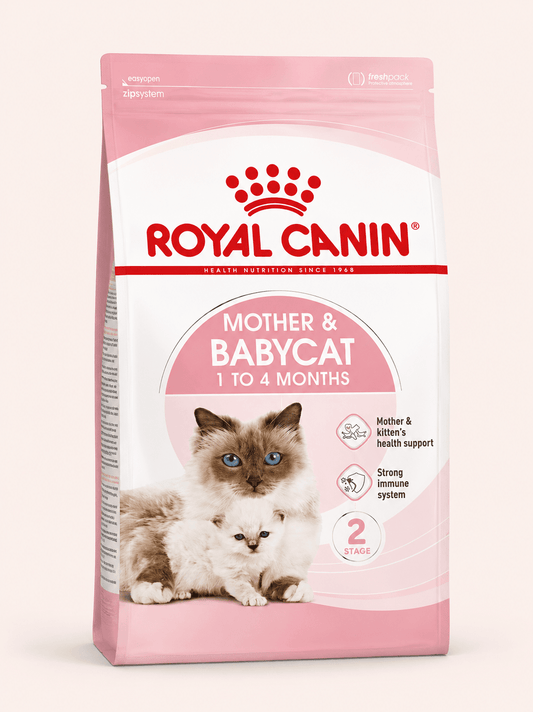 Royal Canin Norwegian Forest Cat kattenvoer 2kg