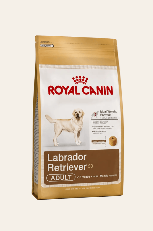 Royal Canin hondenvoer voor volwassen labradors 3kg