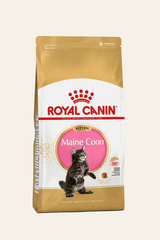 Royal Canin kattenvoer voor maine coon kittens 400g