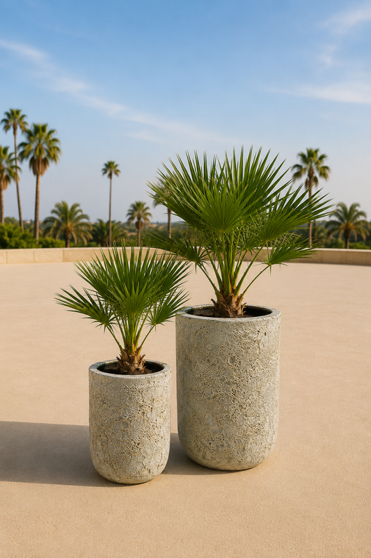 Fuji plantenpot set van 2
