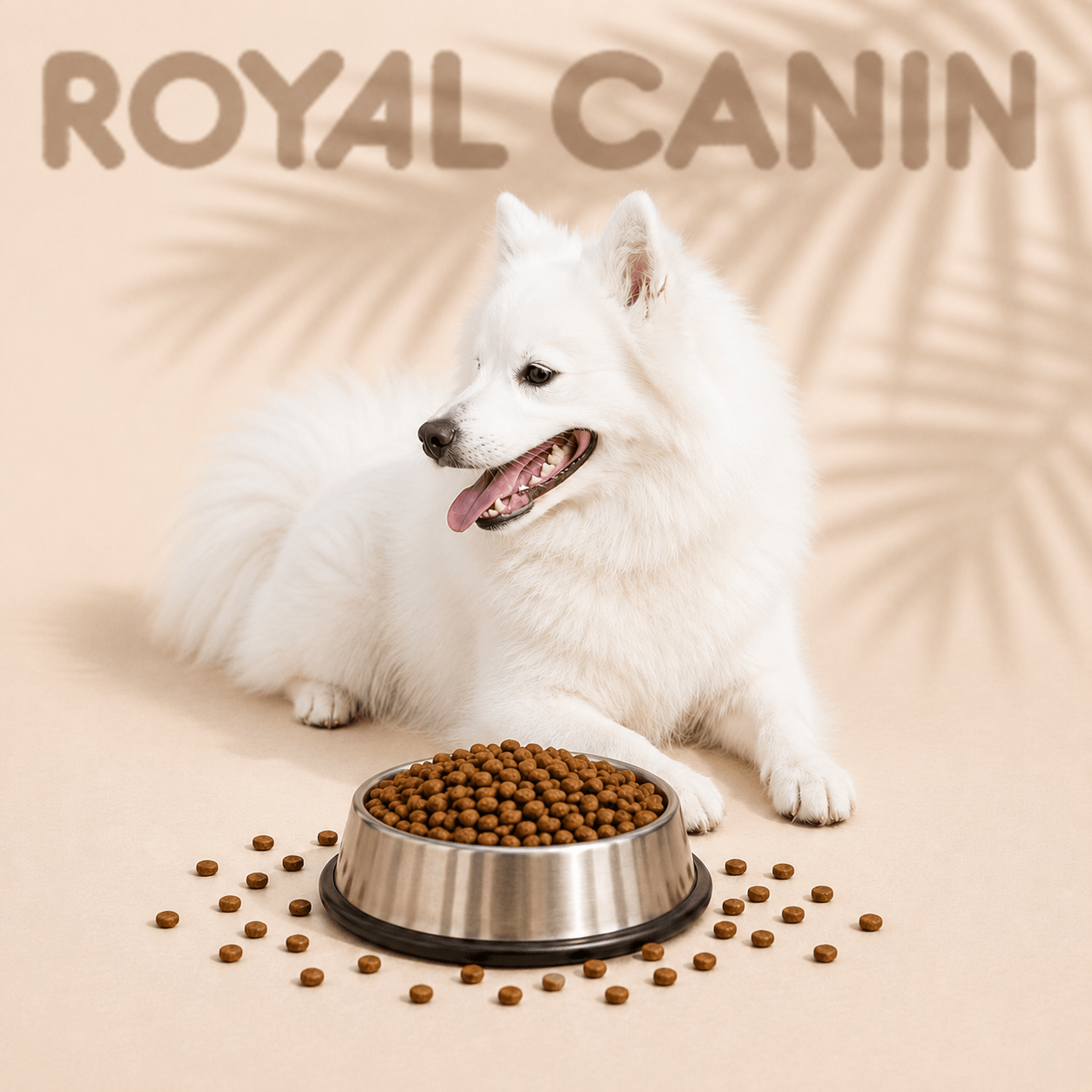 LM Group Belgium - LMA Animal Store - Royal Canin - Droogvoer voor honden