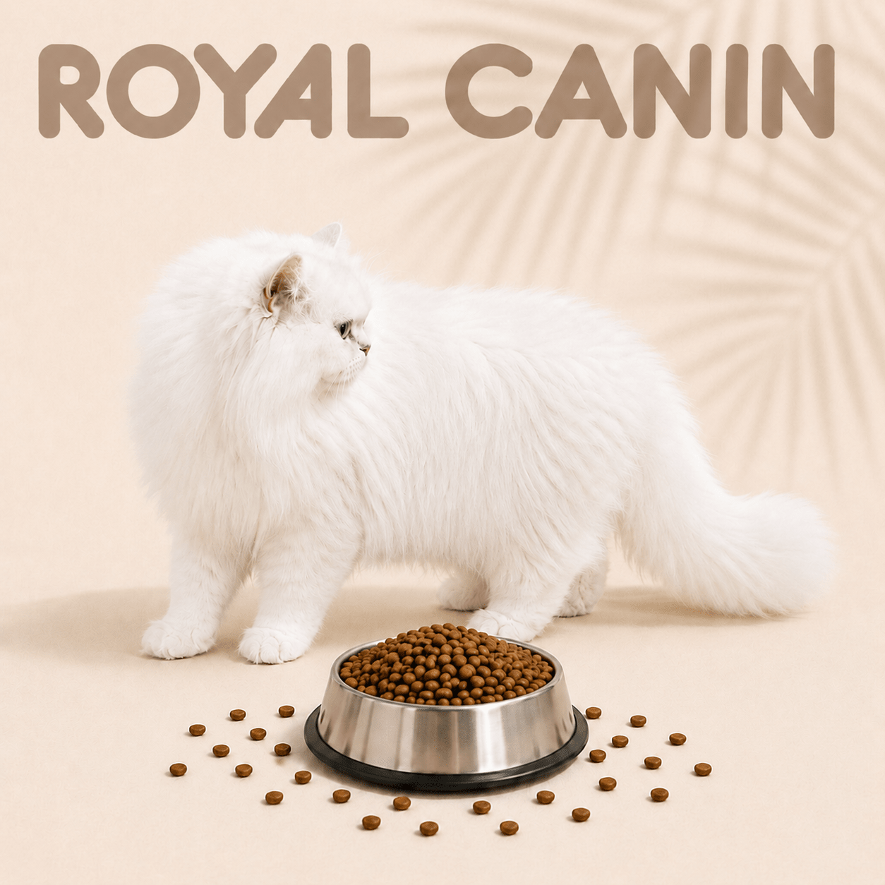 LM Group Belgium - LMA Animal Store - Royal Canin - Droogvoer voor katten