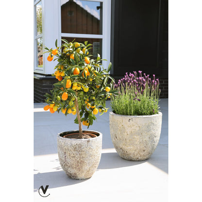 Indische laki plantenpot relic beige