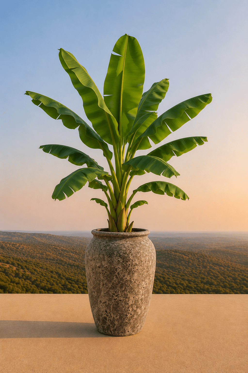 Mondgeblazen keramische Ambang plantenpot in Oceanic Coral met bananenplant op een terras en dieptezicht op een heuvelachtig veld
