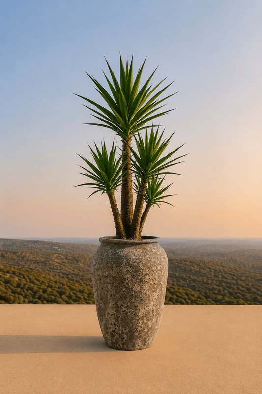 Mondgeblazen keramische Ambang plantenpot in Oceanic Coral met yuccaplant op een terras en dieptezicht op een heuvelachtig veld
