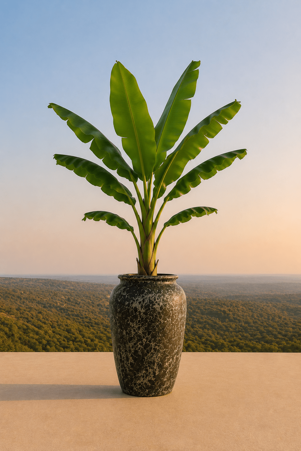 Handgemaakte keramische Ambang plantenpot in Relic Jade met bananenplant op een terras en dieptezicht op een heuvelachtig veld
