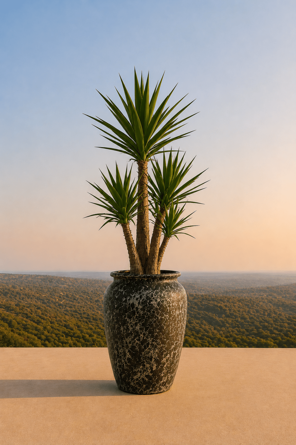 Handgemaakte keramische Ambang plantenpot in Relic Jade met yuccaplant op een terras en dieptezicht op een heuvelachtig veld
