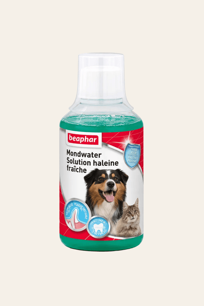 Beaphar mondwater 250 ml voor honden en katten in transparante fles met groene vloeistof, witte doseerdop en gebitsverzorgingsetiket.