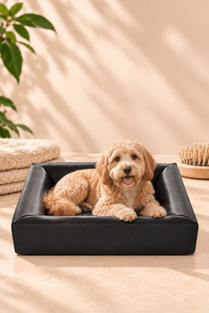 Golden retriever ligt ontspannen in een zwarte Bia Bed orthopedische hondenmand van 70 × 60 × 15 cm in een lichte, sfeervolle woonkamer.