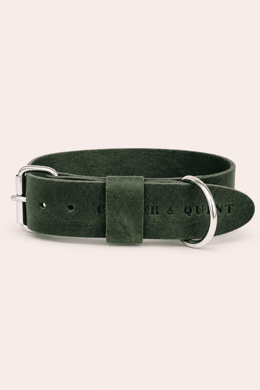 Brede halsband groen in hoogwaardige afwerking 