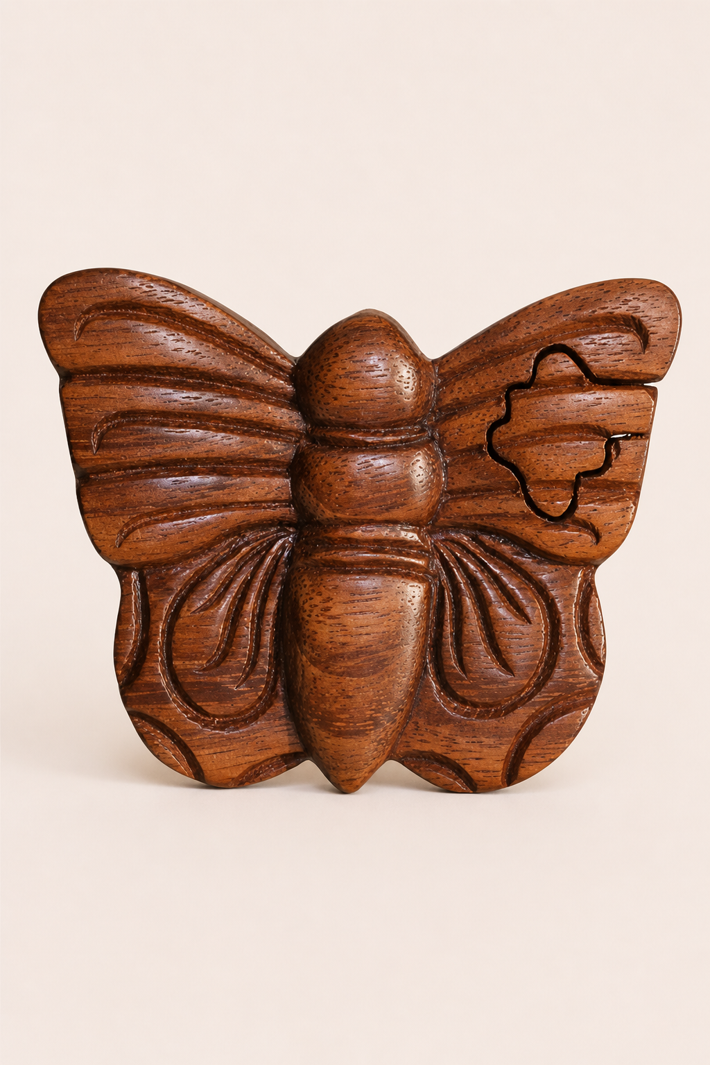 Bali magic box vlinder