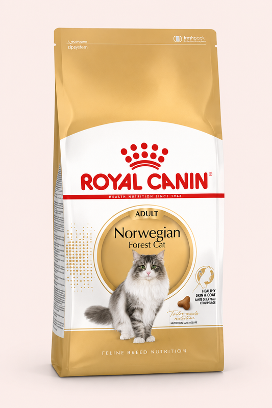 Royal Canin feline norwegian forest cat 2 kg