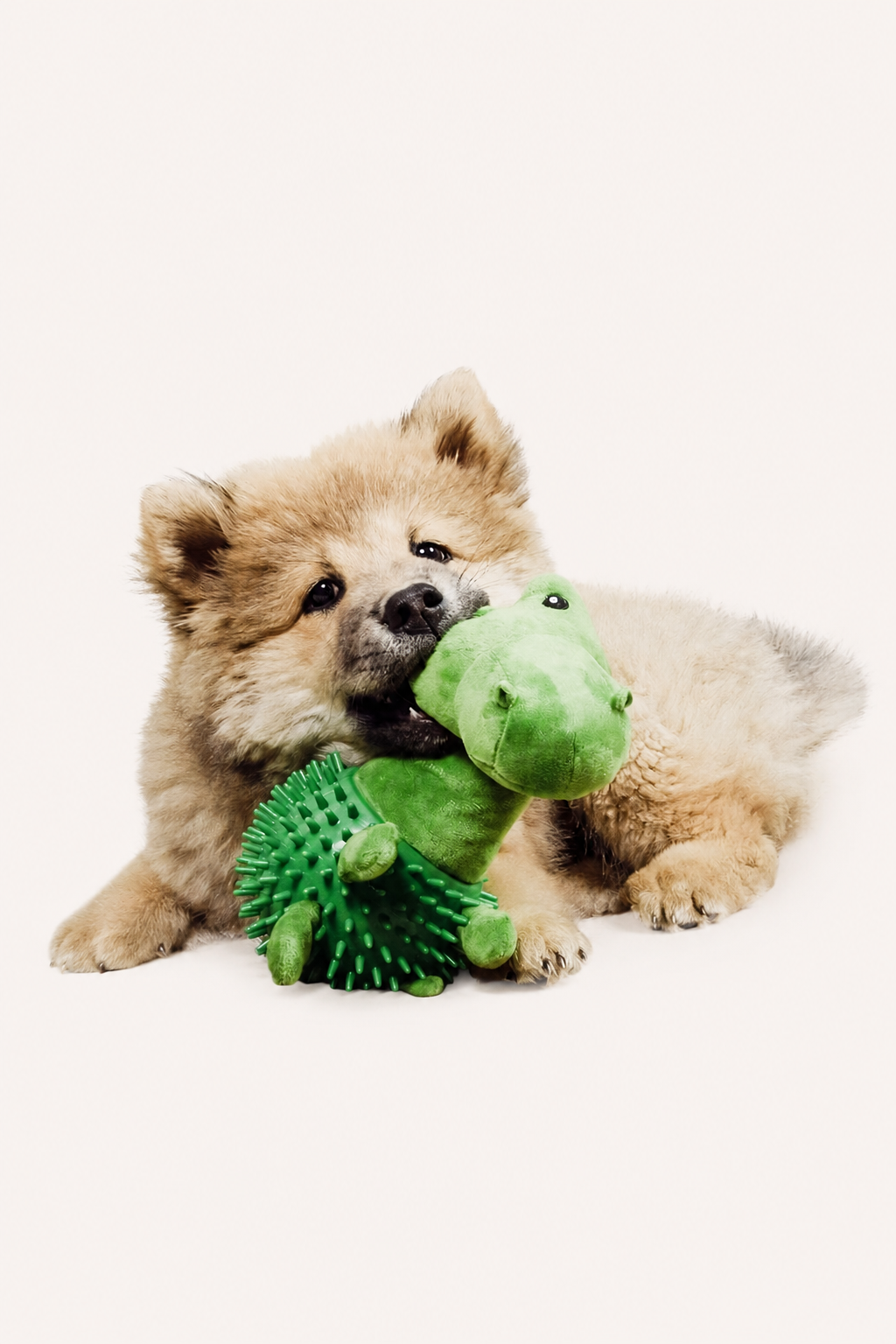 Dino