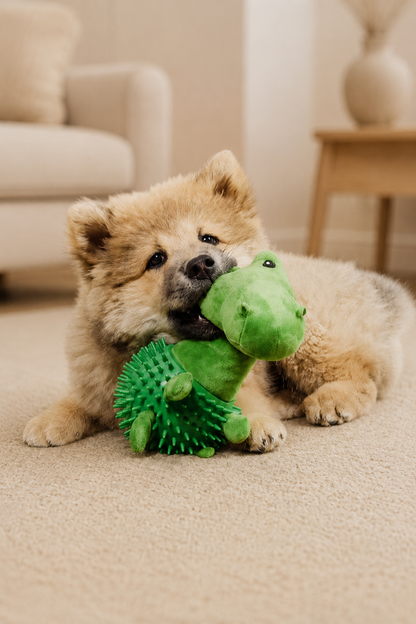 Dino