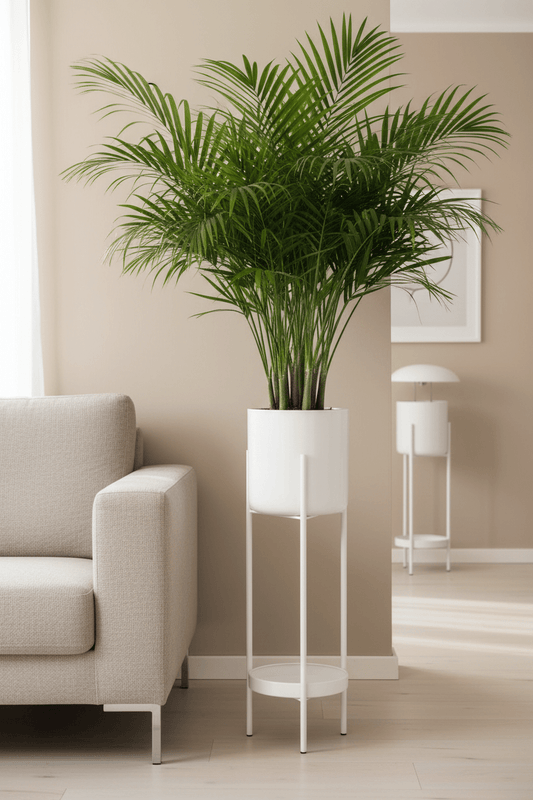 Decoratieve bloempot op standaard met hoge Mexicaans palm in de woonkamer