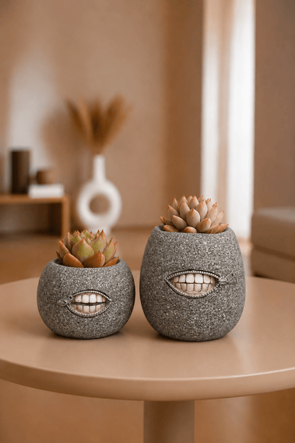 Decoratieve lachend in tandvorm bloempotten in set van 2 op de woonkamer tafel