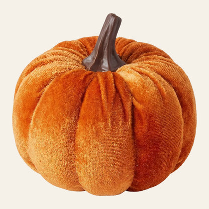 Decoratieve pompoen in oranje met bruine steel voor halloween en herfst als productfoto