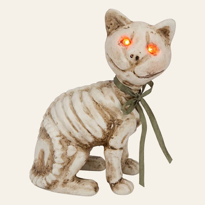Decoratieve skelet kat voor halloween