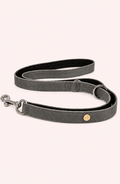 Elegante hondenriem in zilvergrijs met reflecterende functie op lichtbeige achtergrond