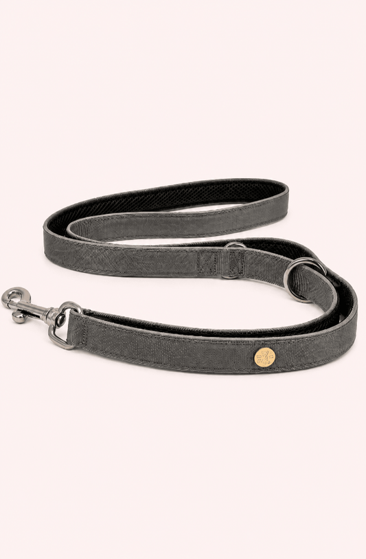 Elegante hondenriem in zilvergrijs met reflecterende functie op lichtbeige achtergrond