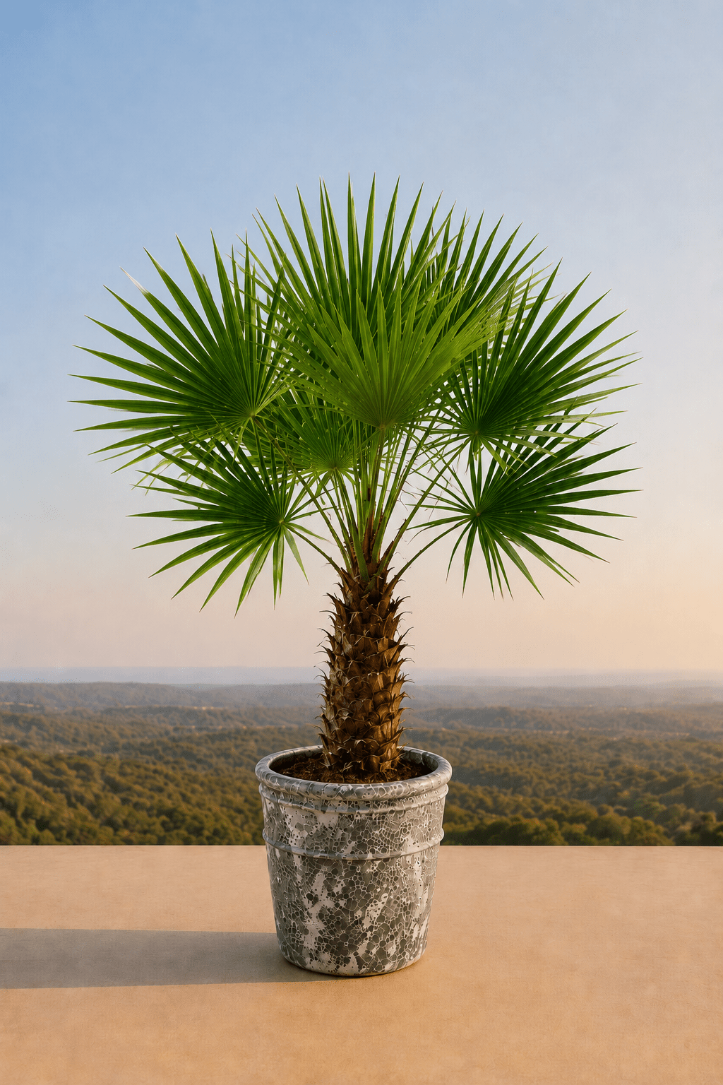 Handgemaakte keramische Enarete plantenpot in Relic Jade met waaierpalm op een terras met dieptezicht op een veld
