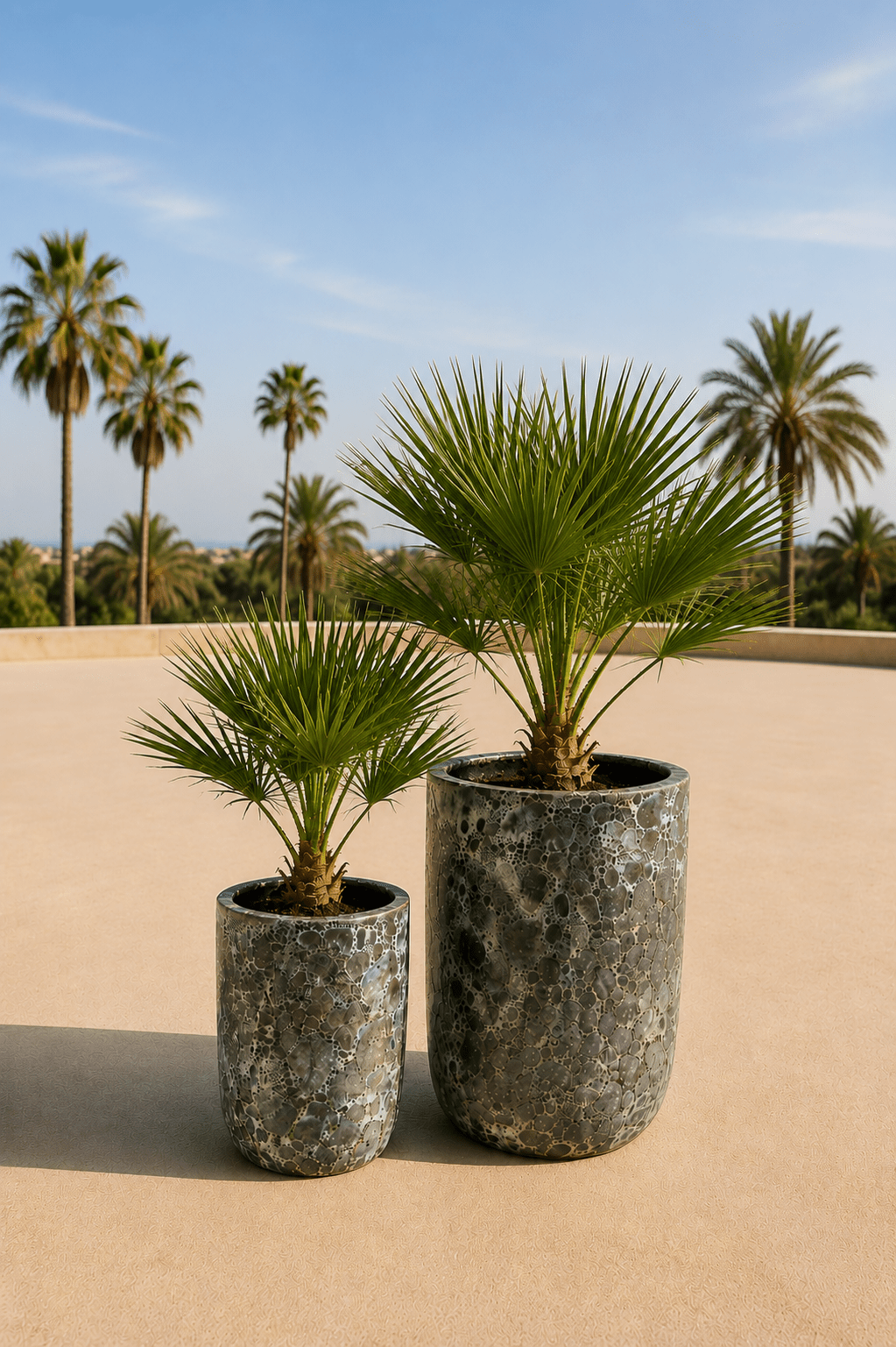 Set van twee handgemaakte Fuji plantenpotten in Relic Jade met palmvarens op een zonnig terras met palmbomen op de achtergrond

