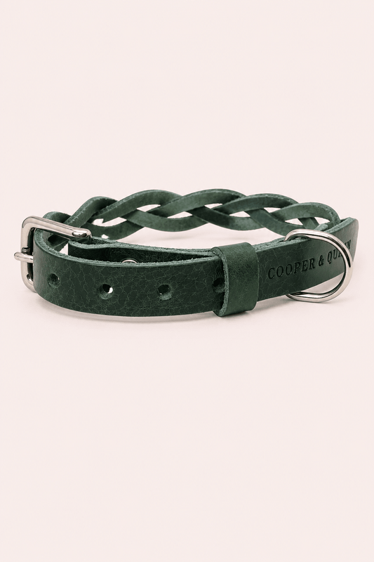 Gevlochten groene leren design halsband 