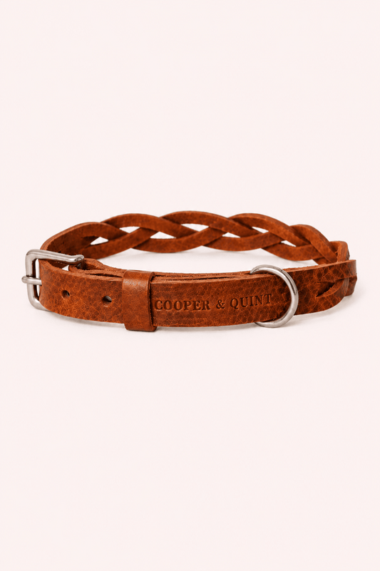 Gevlochten leren bruine halsband, lichtbeige productfoto
