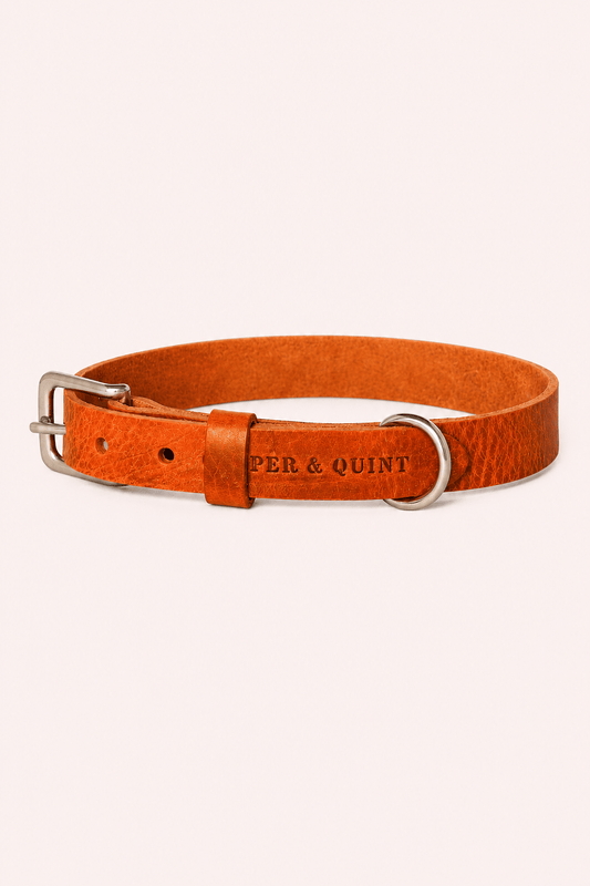 Halsband hoogwaardige afwerking in leer en roestvrij staal