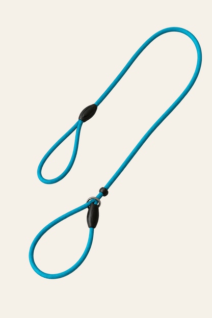 Hunter Freestyle retrieverlijn turquoise 170 x 0,8 cm met metalen veiligheidsstop en verstelbare halslus