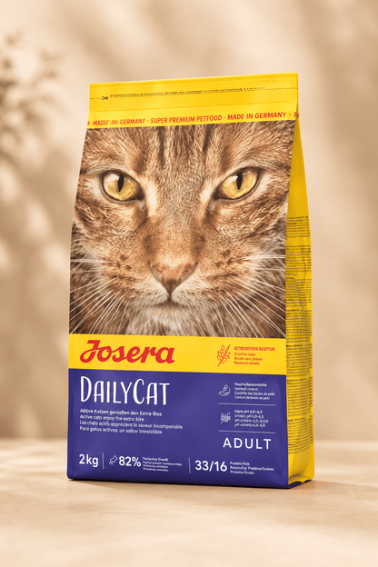 Josera Dailycat graanvrije kattenbrokken 2 kg in geel-paarse verpakking met kattengezicht, droogvoer met gevogelte voor volwassen katten.