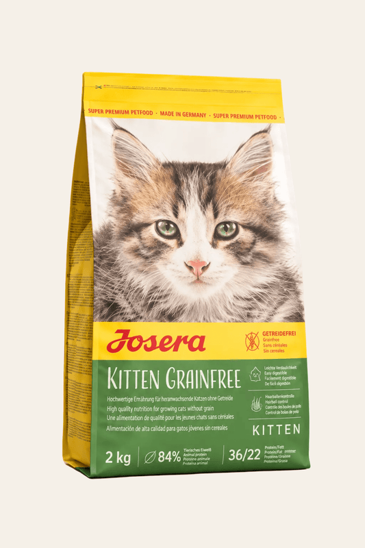 Josera Kitten Grainfree kattenbrokken 2 kg in geel-groene verpakking met jonge kat, graanvrije voeding voor kittens.