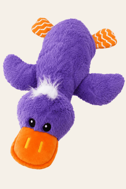 KONG Comfort Jumbo grote paarse pluche eend met oranje snavel, zachte paarse vleugels, witte pluim en oranje poten op een witte achtergrond.