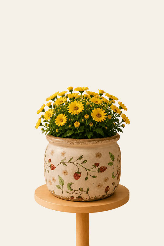Keramische bloempot met aardbeienmotief als productaanzicht.