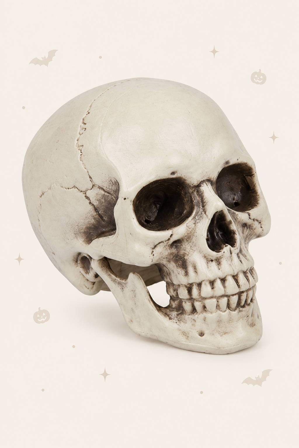 Kleine decoratieve schedel 14cm groot voor halloween
