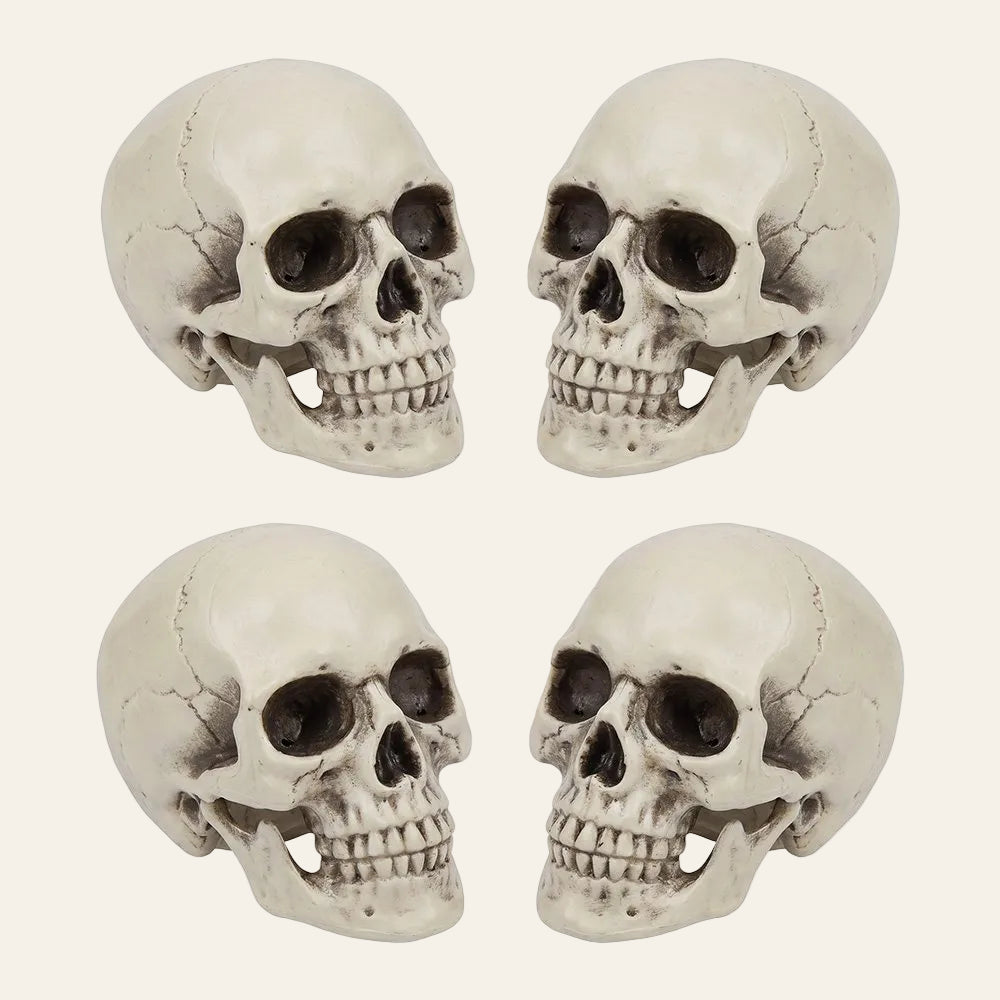 Kleine decoratieve schedel voor halloween