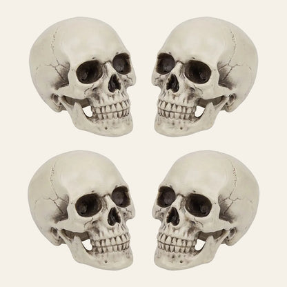 Kleine decoratieve schedel voor halloween
